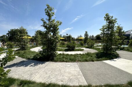 Rotary PlayGarden Phase 2