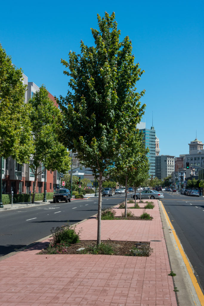 San Pablo Avenue Improvements