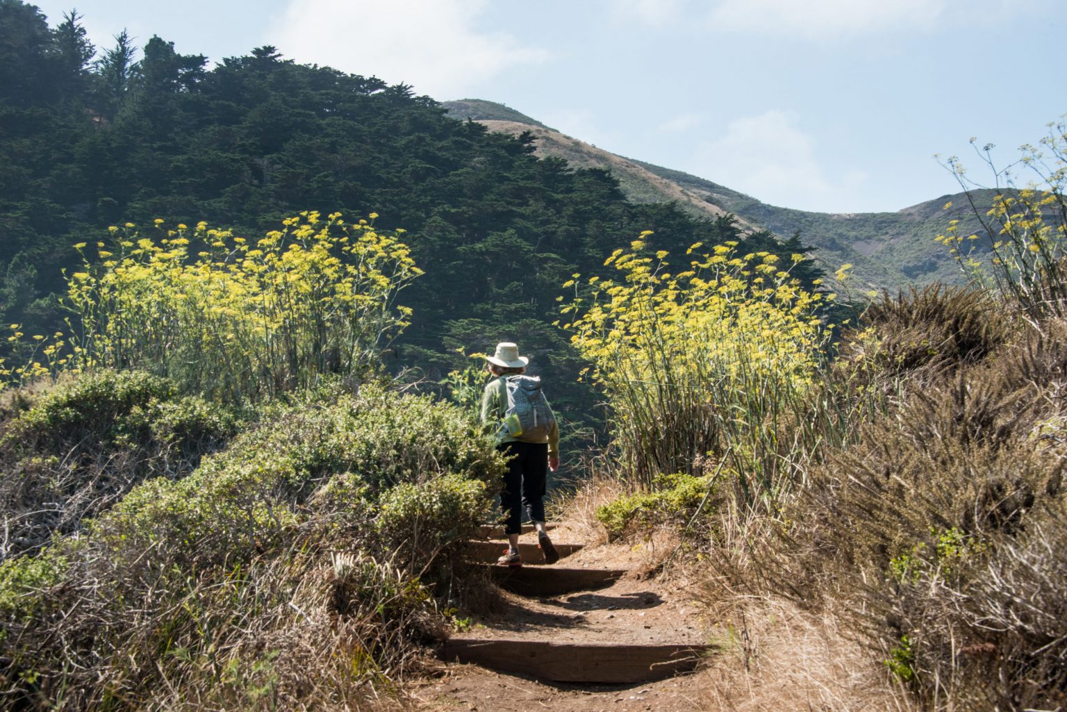 Kirby Cove PGAdesign